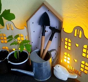 Дачный сезон-2026