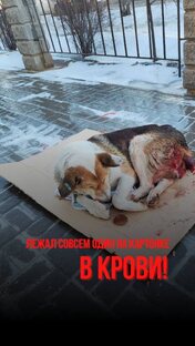 Спасение Урала