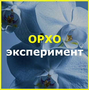 ОРХОЭКСПЕРИМЕНТ