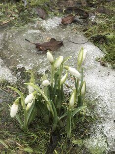 Остров сказок