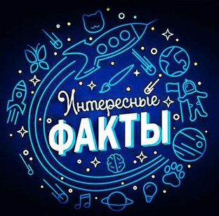 Интересные факты
