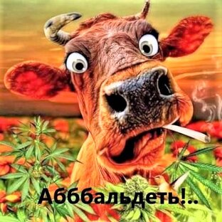 "Настало время "удивительных" историй....