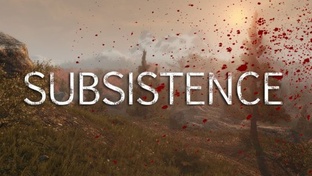 Subsistence