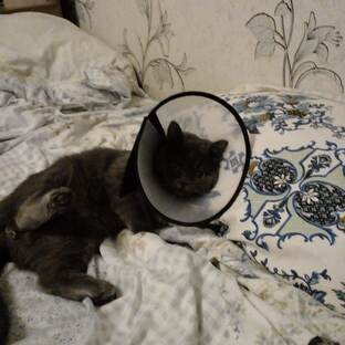 Я сааамый больной в миире