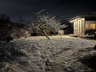 Лучшие статьи 🏆 