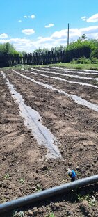 Система полива