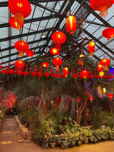 Парки и ботанические сады