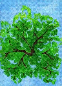 Образ моей жизни.