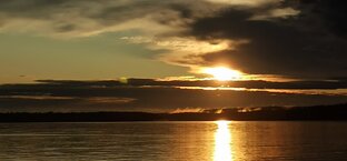 Рубрика "Мысли вслух".