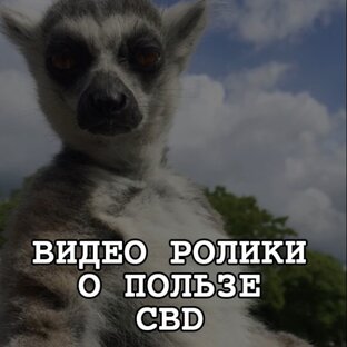 Ролики о CBD