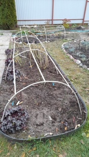 Укрытие роз