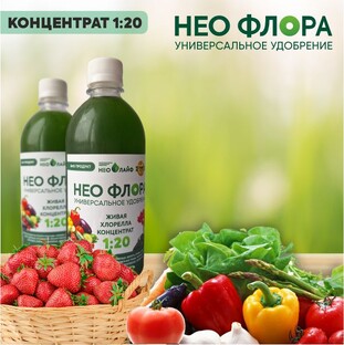 Цветы и растения