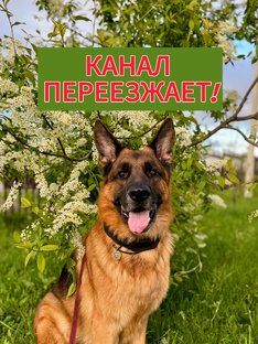 Канал переезжает!
