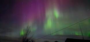 интересные факты