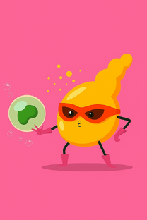 Поджелудочная железа