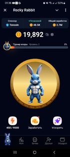 Rocky Rabbit