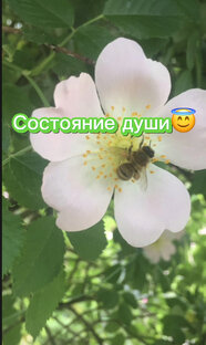 Доченька поёт. Не судите строго❤️
