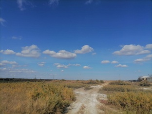 Жизнь как она есть