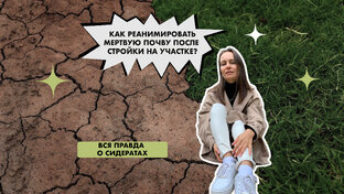 Уход за садом