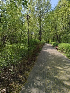 Природа Москвы. The nature of Moscow.