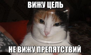 Вижу цель, не вижу препятствий!!!