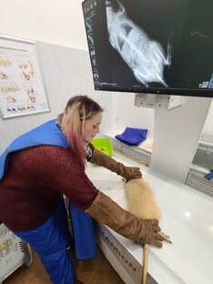 Основная информация о Мудром Рухе