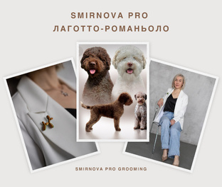 Груминг наоборот!!! Просто попробуйте!!!