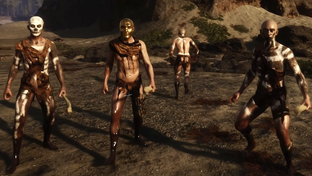 Sons of the Forest