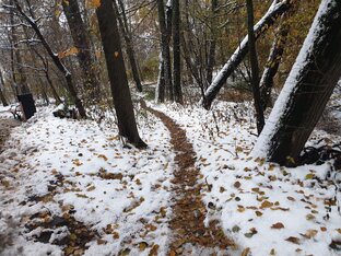 План действий при заключении кредитного договора без Вашего желания