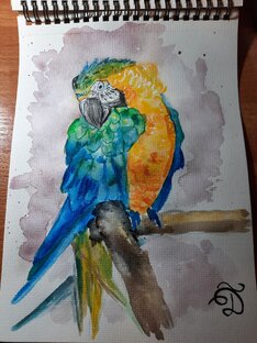 Птицы
