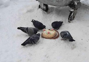 Эволюция