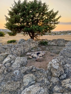 Усадьбы Херсонеса Таврического