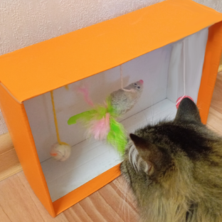 Игрушки для котиков своими руками ✂️