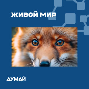 ЖИВОЙ МИР