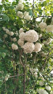 Просто июнь