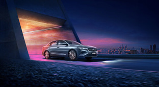 BELGEE в наличии Барнаул