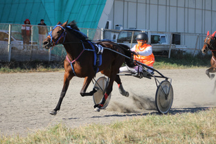 Тренировочный процесс 