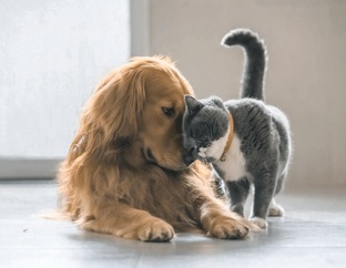 Немного юмора