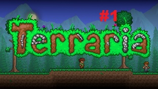 Terraria
