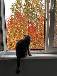 Фотографии на память