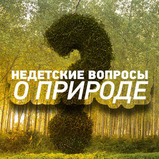 Недетские вопросы о природе