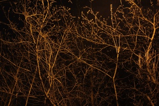 прикольный тгк с фотографиями и красивой музыкой!!