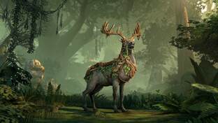 Большие статьи о самом интересном