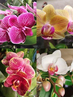 ВОПРОС ЗНАТОКАМ