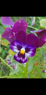 Дела дачные.