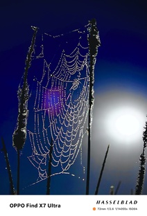 ProФото.История одной фотографии.