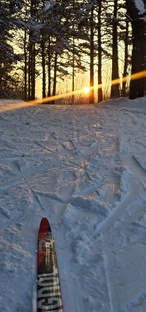 Беговые лыжи ,для полётов по лесу🦅
