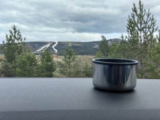 Прогулки выходного дня