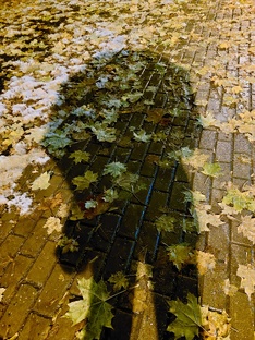 Мои стихи
