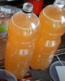 Домашние напитки